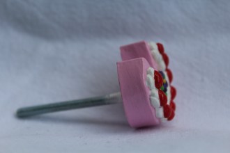 IMG_5284